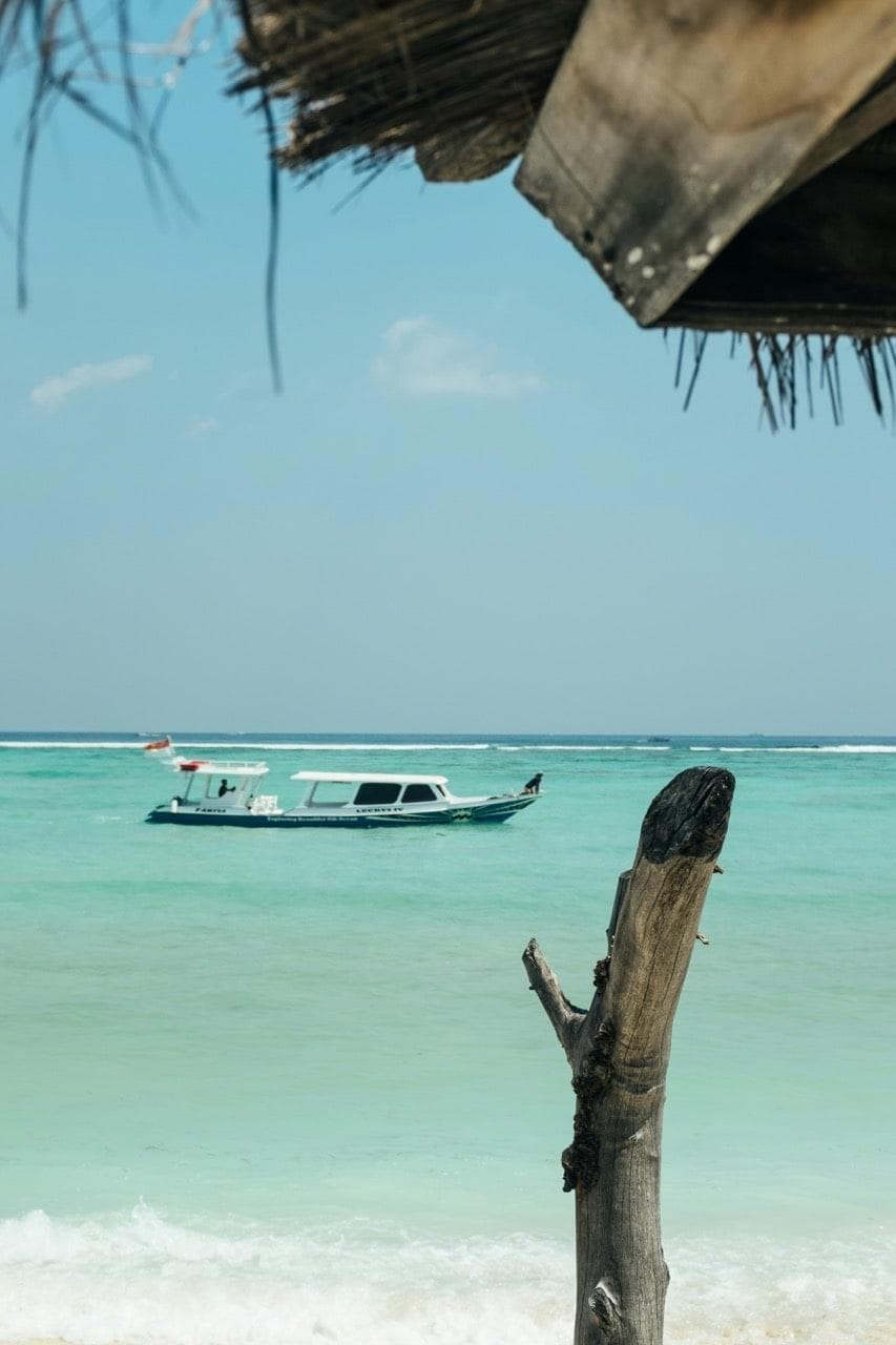 SUP - Manta Dive, Gili A.